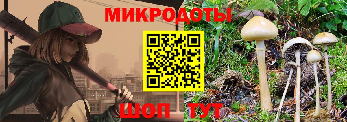 Псилоцибиновые грибы ЛСД  Вход с VPN  Псилоцибиновые грибы Psilocybine cubensis  Грозный 
